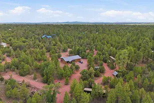 6163 Mallard Pond Dr, Happy Jack, AZ 86024 - Photo 26