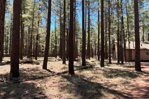 7578 E Jolly Rogue Ln, Williams, AZ 86046 - Photo 20