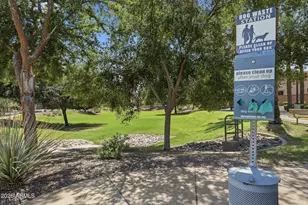 3420 E Lynx Pl, Chandler, AZ 85249 - Photo 100