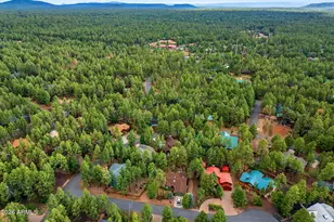 6346 Christmas Tree Cir, Pinetop, AZ 85935 - Photo 46