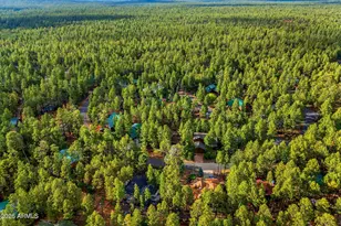 6346 Christmas Tree Cir, Pinetop, AZ 85935 - Photo 44