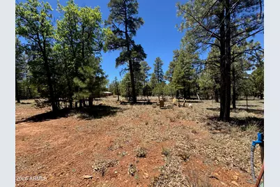 1698 Big Timber Drive, Happy Jack, AZ 86024 - Photo 16