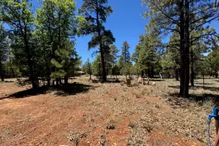 1698 Big Timber Dr, Happy Jack, AZ 86024 - Photo 16