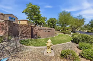 119 E Chelsea Ln, Gilbert, AZ 85295 - Photo 42