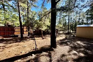 1721 W Hall St, Show Low, AZ 85901 - Photo 16
