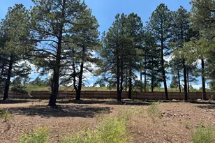 2118 Shaded Spg Trl, Flagstaff, AZ 86005 - Photo 2
