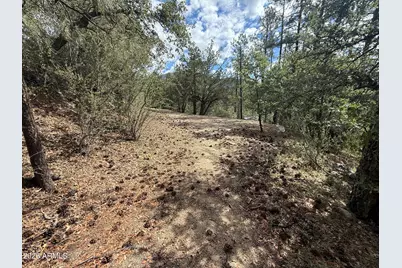 23441 S Van Lane #49, Crown King, AZ 86343 - Photo 6