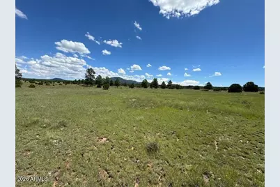 5303 N Red Mountain Road #'-', Williams, AZ 86046 - Photo 4