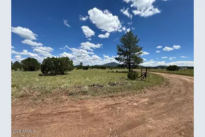 5303 N Red Mountain Road #'-', Williams, AZ 86046 - Photo 10