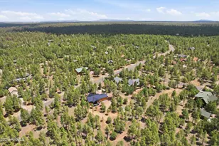 3847 Apache Dr, Happy Jack, AZ 86024 - Photo 10