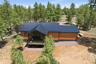 3847 Apache Dr, Happy Jack, AZ 86024 - Photo 2