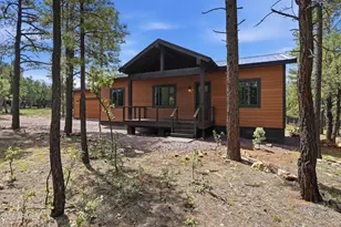 3847 Apache Dr, Happy Jack, AZ 86024 - Photo 14