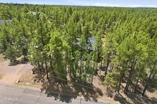 3847 Apache Dr, Happy Jack, AZ 86024 - Photo 8