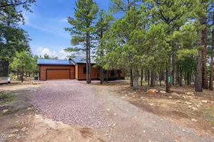 3847 Apache Dr, Happy Jack, AZ 86024 - Photo 12