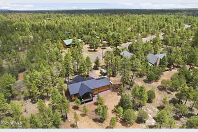 3847 Apache Drive, Happy Jack, AZ 86024 - Photo 4