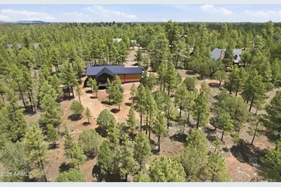 3847 Apache Drive, Happy Jack, AZ 86024 - Photo 6
