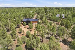 3847 Apache Dr, Happy Jack, AZ 86024 - Photo 6