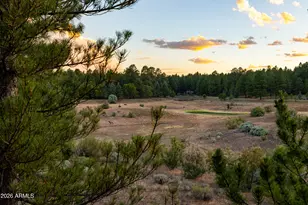 1033 N Lakepoint Way, Flagstaff, AZ 86004 - Photo 24