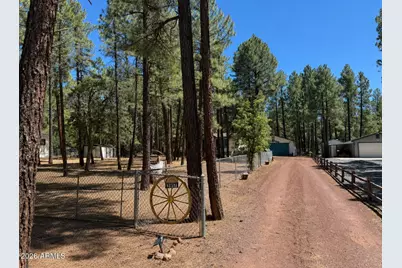 3917 Meadow View Drive, Lakeside, AZ 85929 - Photo 2