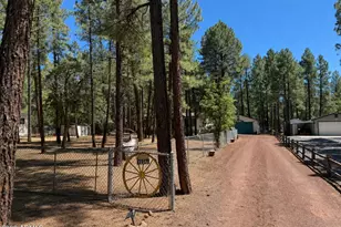 3917 Meadow View Dr, Lakeside, AZ 85929 - Photo 2