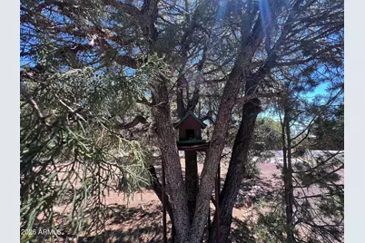 3428 High Country Drive, Heber, AZ 85928 - Photo 8