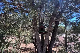 3428 High Country Dr, Heber, AZ 85928 - Photo 8