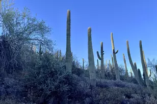 19200 E Saguaro Dr, Black Canyon City, AZ 85324 - Photo 26