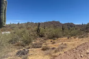 1913 E Mariola --, Phoenix, AZ 85086 - Photo 1