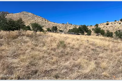 00 Muffin Lane #-, Hereford, AZ 85615 - Photo 6