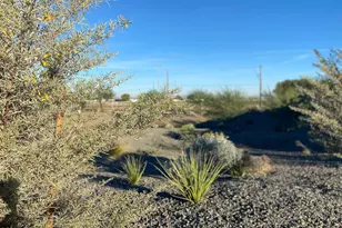 1651 W Paseo Way, Phoenix, AZ 85041 - Photo 22
