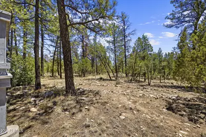 2142 Rimview Trail, Overgaard, AZ 85933 - Photo 4