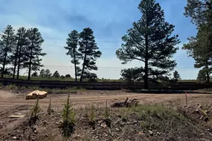 2142 Shaded Spg Trl, Flagstaff, AZ 86005 - Photo 2