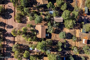 2927 Wildcat Trail, Overgaard, AZ 85933 - Photo 28