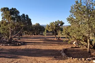 690 Cr 8235 Dr, Concho, AZ 85924 - Photo 12
