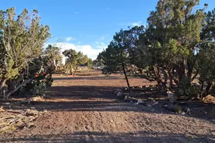 690 Cr 8235 Dr, Concho, AZ 85924 - Photo 10