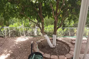 3819 N Wisconsin Ave, Florence, AZ 85132 - Photo 106