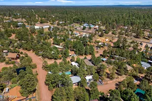 3490 Black Bear Run, Overgaard, AZ 85933 - Photo 34