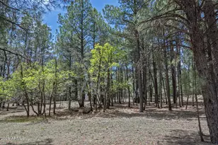 2132 W Pine Valley Rd, Happy Jack, AZ 86024 - Photo 10