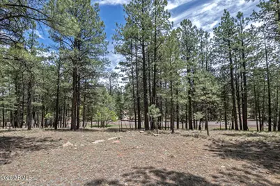 2132 W Pine Valley Road, Happy Jack, AZ 86024 - Photo 1