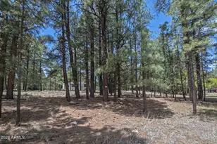 2132 W Pine Valley Rd, Happy Jack, AZ 86024 - Photo 6