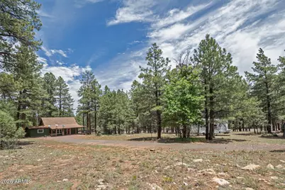 2132 W Pine Valley Road, Happy Jack, AZ 86024 - Photo 2