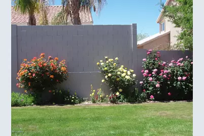 16022 N 17th Place, Phoenix, AZ 85022 - Photo 6