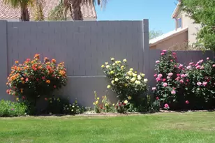 16022 N 17th Pl, Phoenix, AZ 85022 - Photo 6