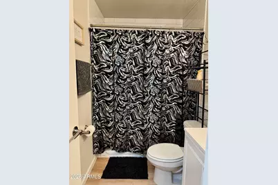 1523 W Plana Avenue, Mesa, AZ 85202 - Photo 14