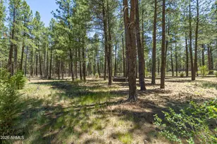 2300 W Kiltie Ln, Flagstaff, AZ 86005 - Photo 38