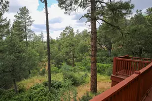 9651 W Wild Turkey Ln, Pine, AZ 85544 - Photo 6