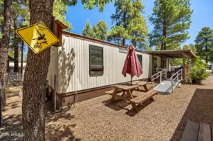 610 S 29th Dr, Show Low, AZ 85901 - Photo 1