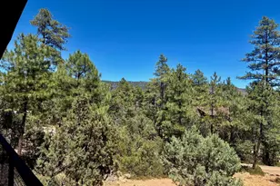 6719 W Pine Cone Trail, Pine, AZ 85544 - Photo 46