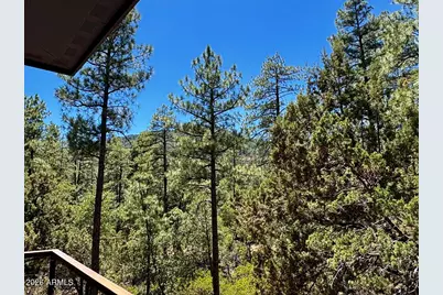 6719 W Pine Cone Trail, Pine, AZ 85544 - Photo 42