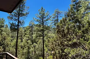 6719 W Pine Cone Trail, Pine, AZ 85544 - Photo 42